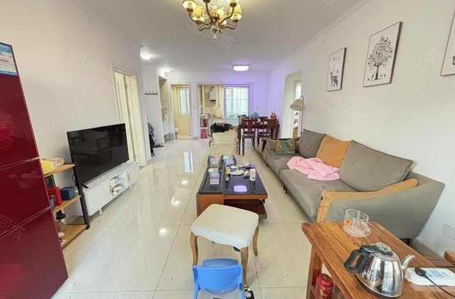 东昌东校  星光和园 三叶草户型 送车 星光清水湾 光岳华庭