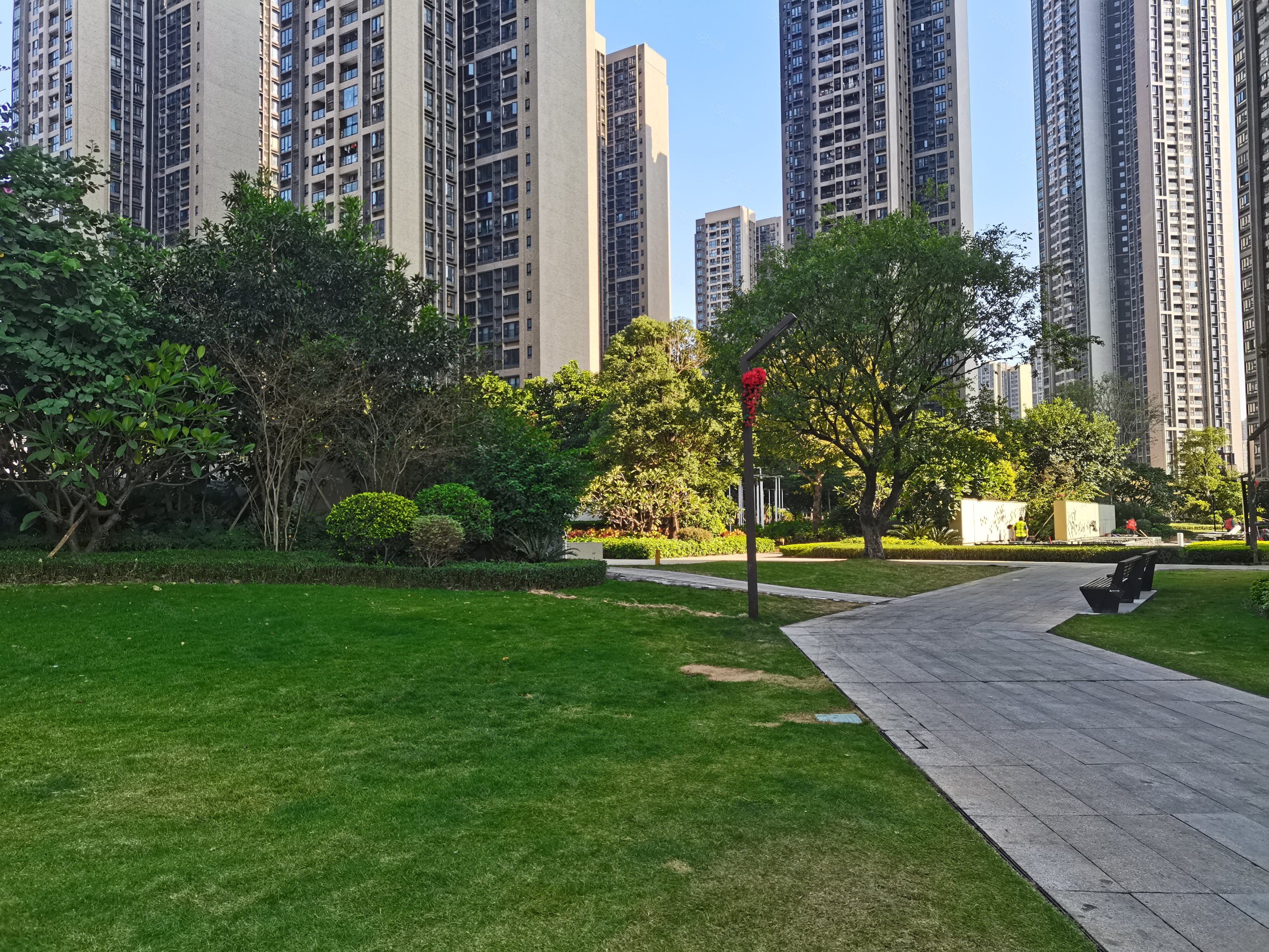 金沙洲时代水岸南向3房望花园望江楼层好随时看房