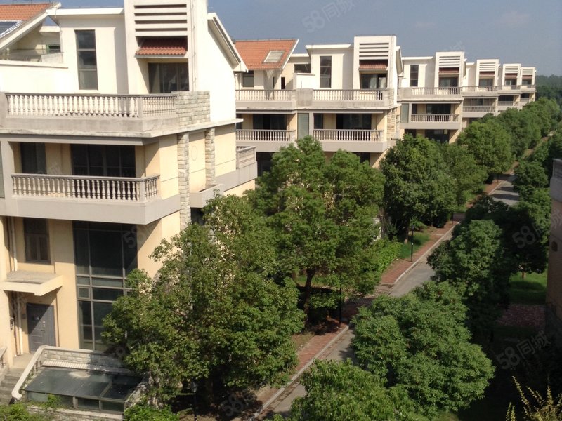 鸿禧山庄产证190平 满二 位置采光无遮挡,房东诚心出售