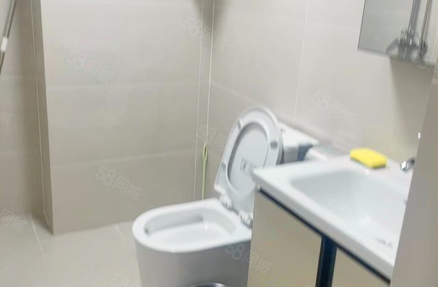 棠湖泊林城(商住楼)1室1厅33.06㎡30万二手房图片