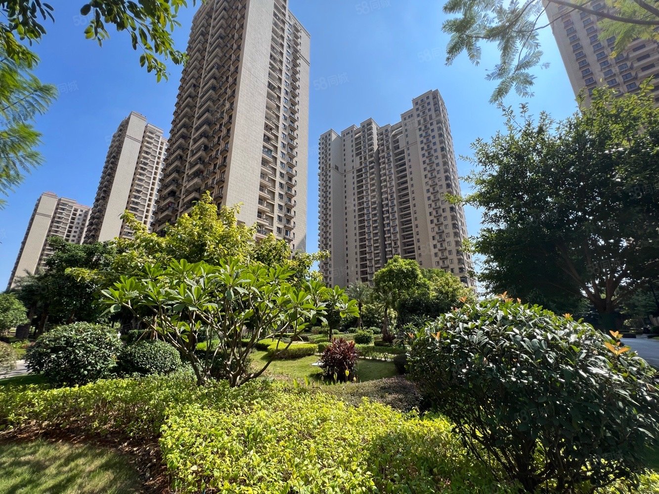 光明城市安和苑2室2厅1卫60㎡南北60万