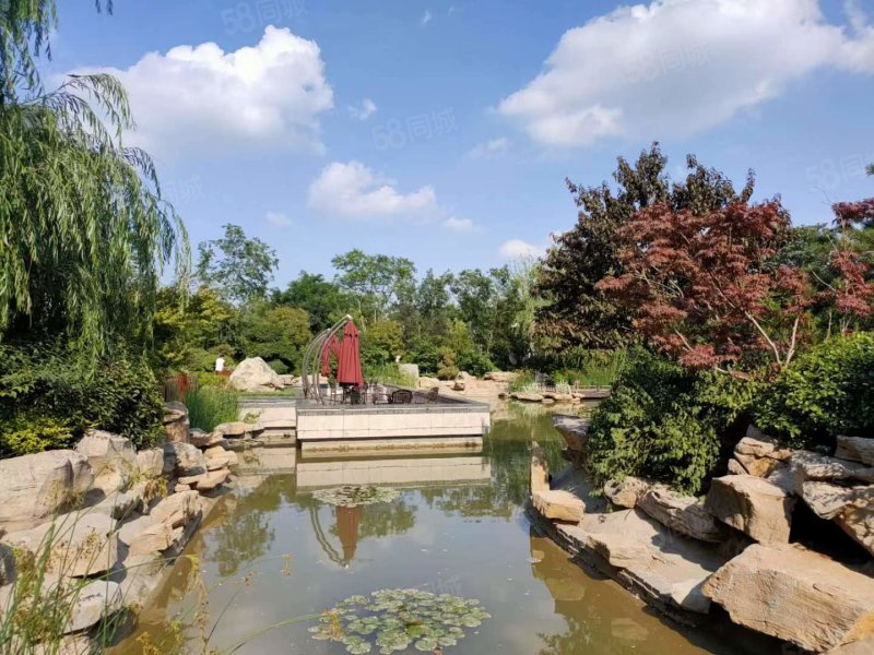 鲁商金茂悦府3室2厅2卫110.6㎡南北118万