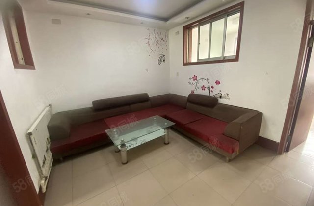 柳园路，市中心，一品佳苑，老东昌。毛纺厂家属院，