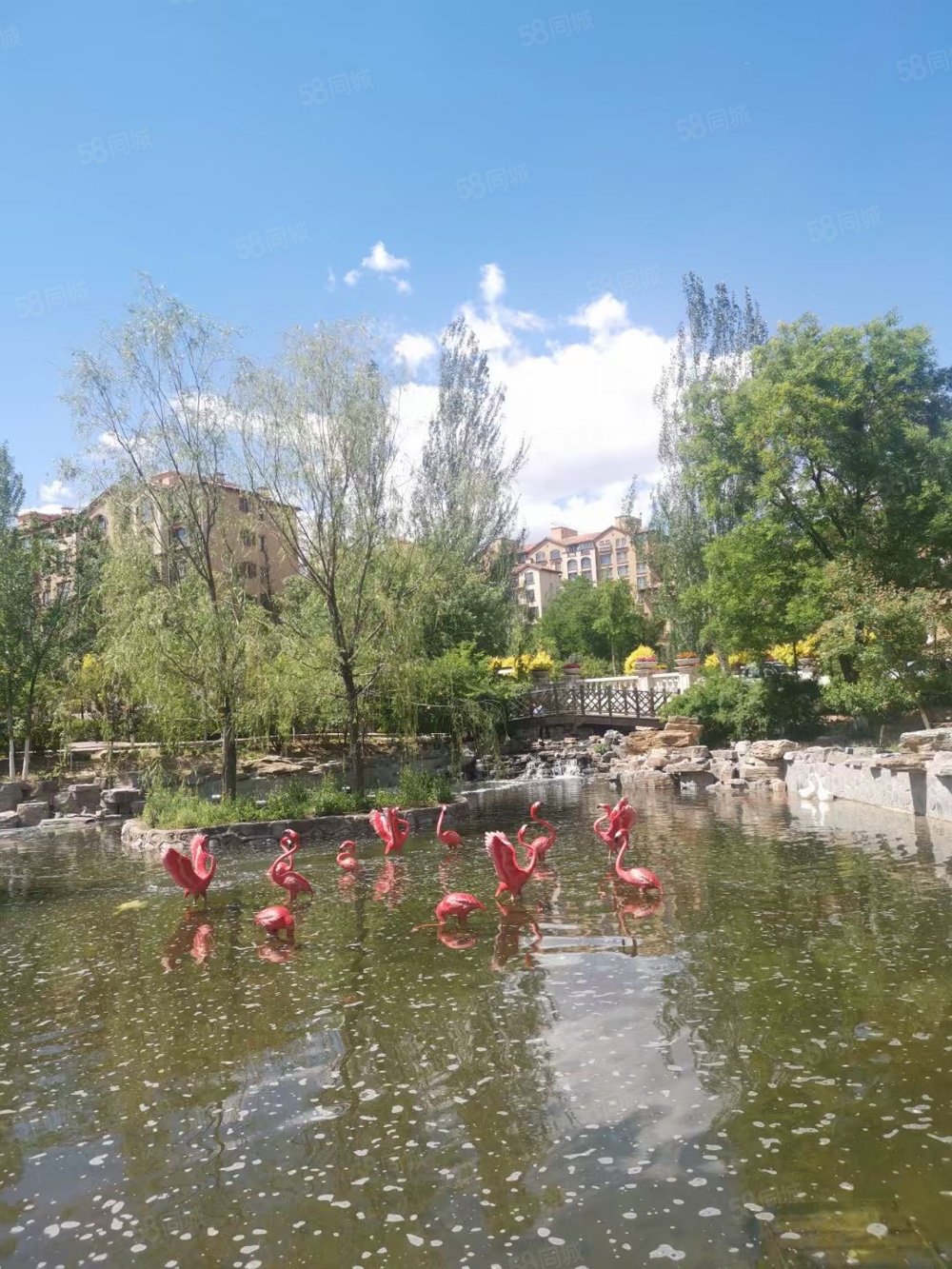 名爵滨河花园 精装联排现房 可装电梯 靠近小区水系公园