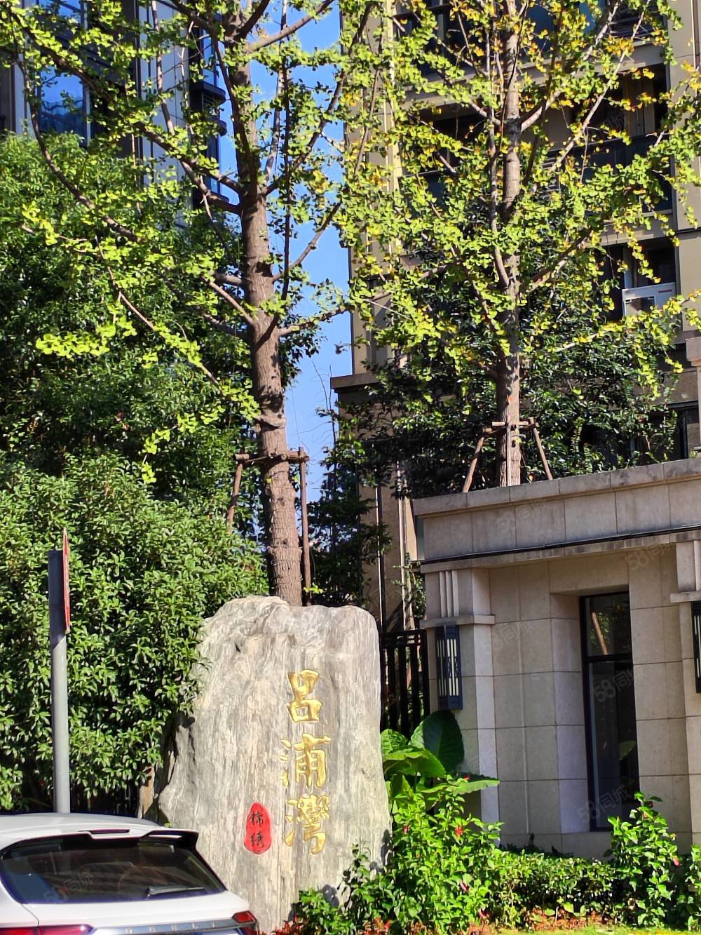 税各缴个的,吕浦湾-温州58同城