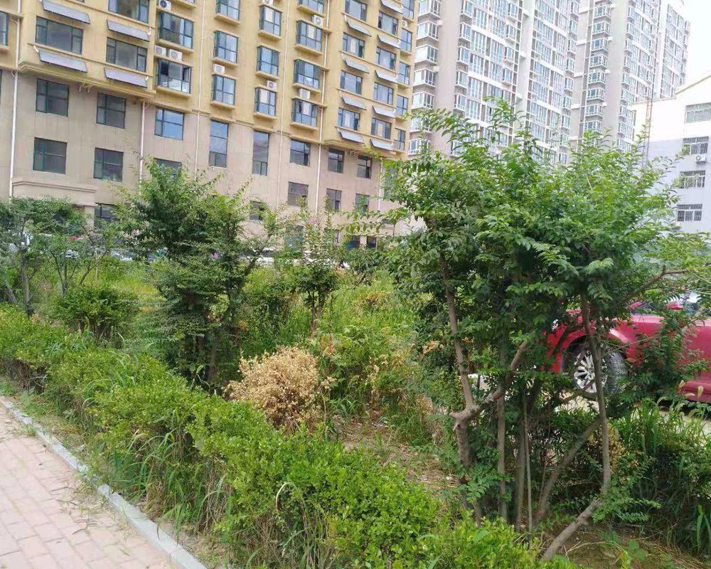 杨春龙郡