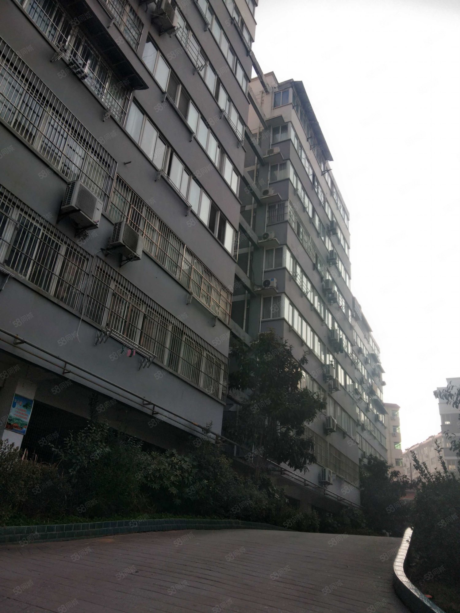 东苑小区3室2厅1卫97㎡南45万