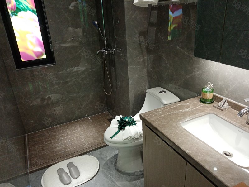 【10图】织里吾悦广场 镇政府 浙厦 富民南路 轻轨站 人民公园,富景园