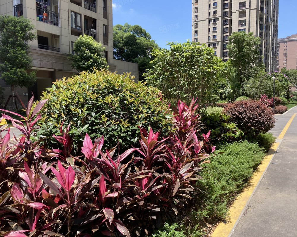 【融信双杭城澜园, 融信双杭城澜园小区详情,房价走势,房源,业主论坛