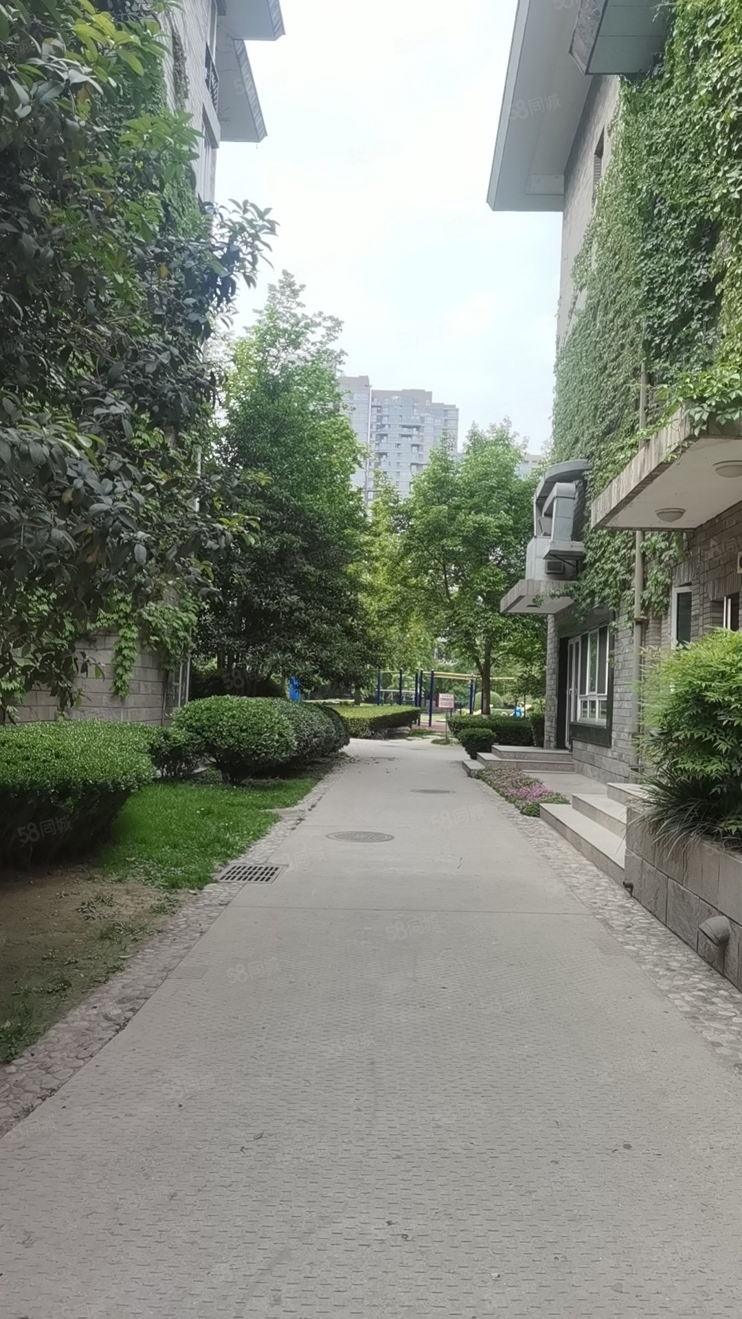 群贤庄4室2厅2卫221.7㎡南北490万