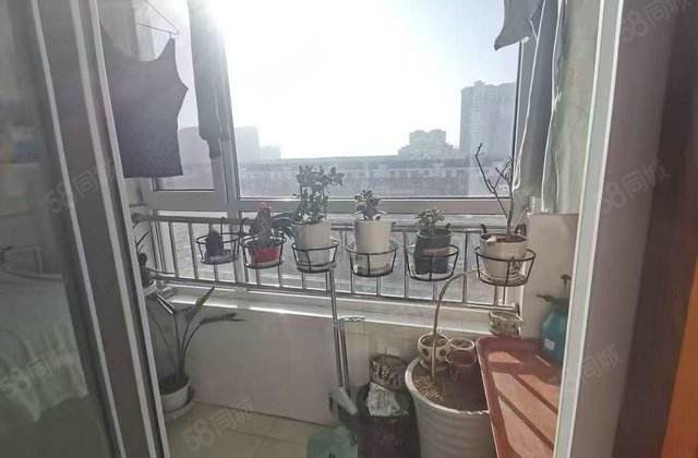 月亮湾，颐馨园 金柱绿城  全天采光观景      购物方便