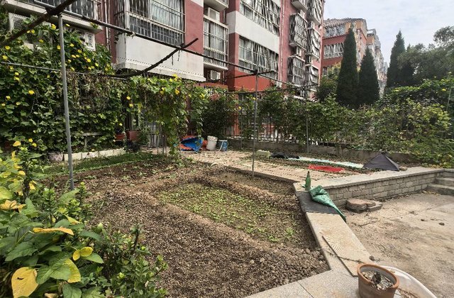 建设路！星光水晶城！一楼带个大院子！随时看房！