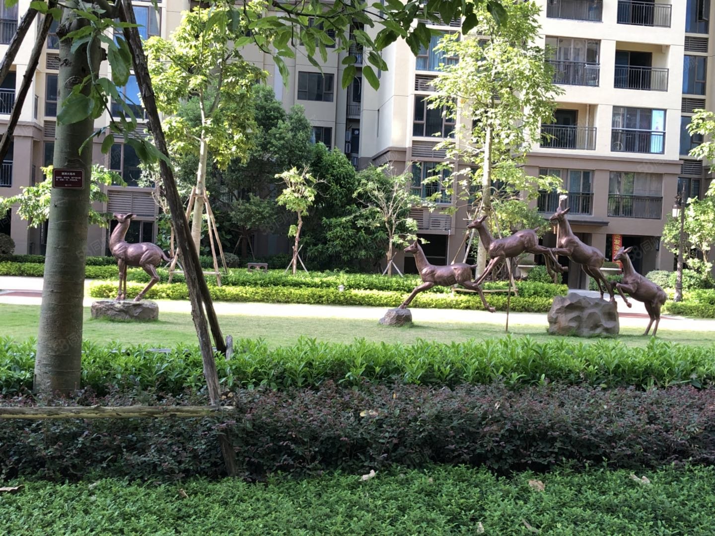 龙腾嘉园 高楼层视野好 双卫格局 板楼 满五   有电梯