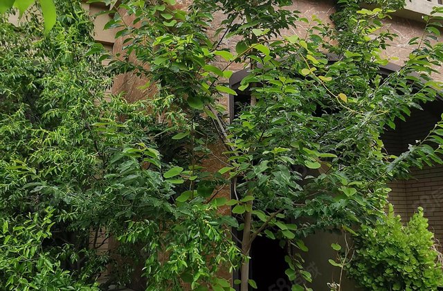 名仕温泉国际城(别墅)4室2厅142㎡120万二手房图片