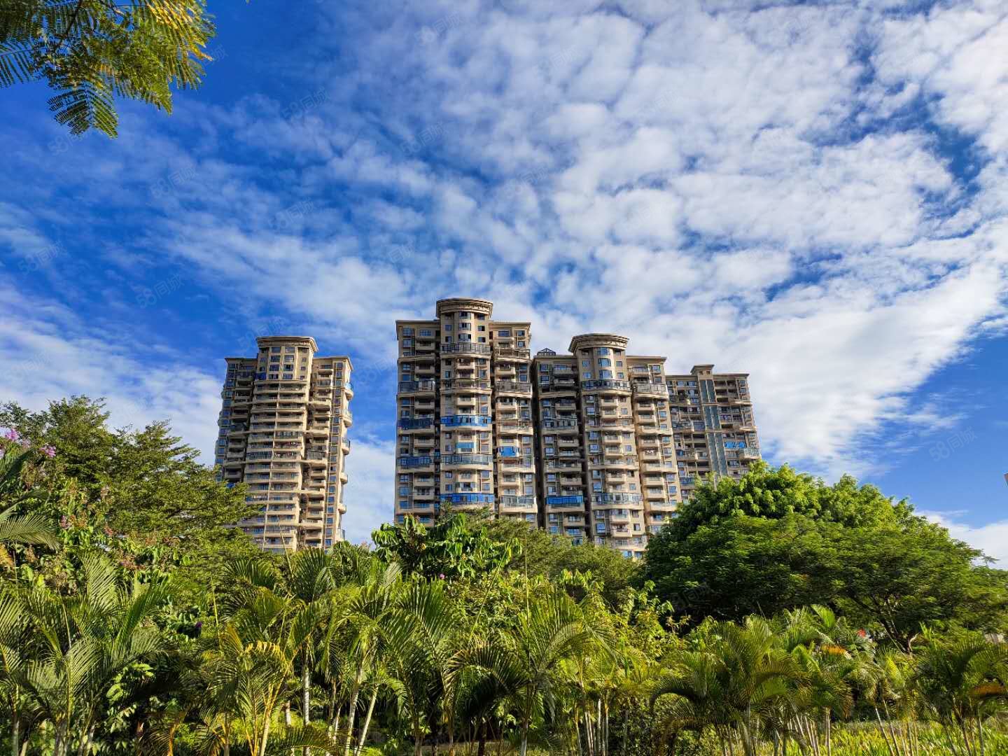 滨江一号2房高层看江景入户三小南安一中看房随时