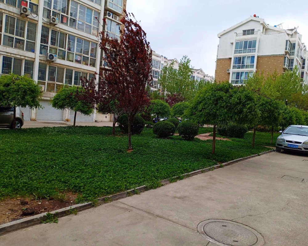 【盛世华府(东阿), 盛世华府(东阿)小区详情,房价走势,房源,业主论坛