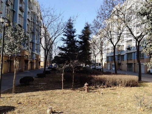 【赵村小区房价走势,赵村小区房屋出租,赵村小区二手房出售】- 青岛58