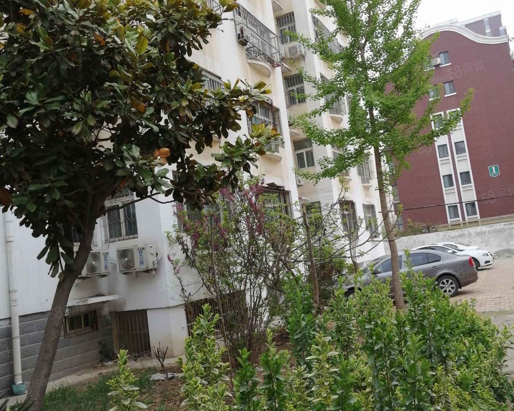 中通科技苑小区