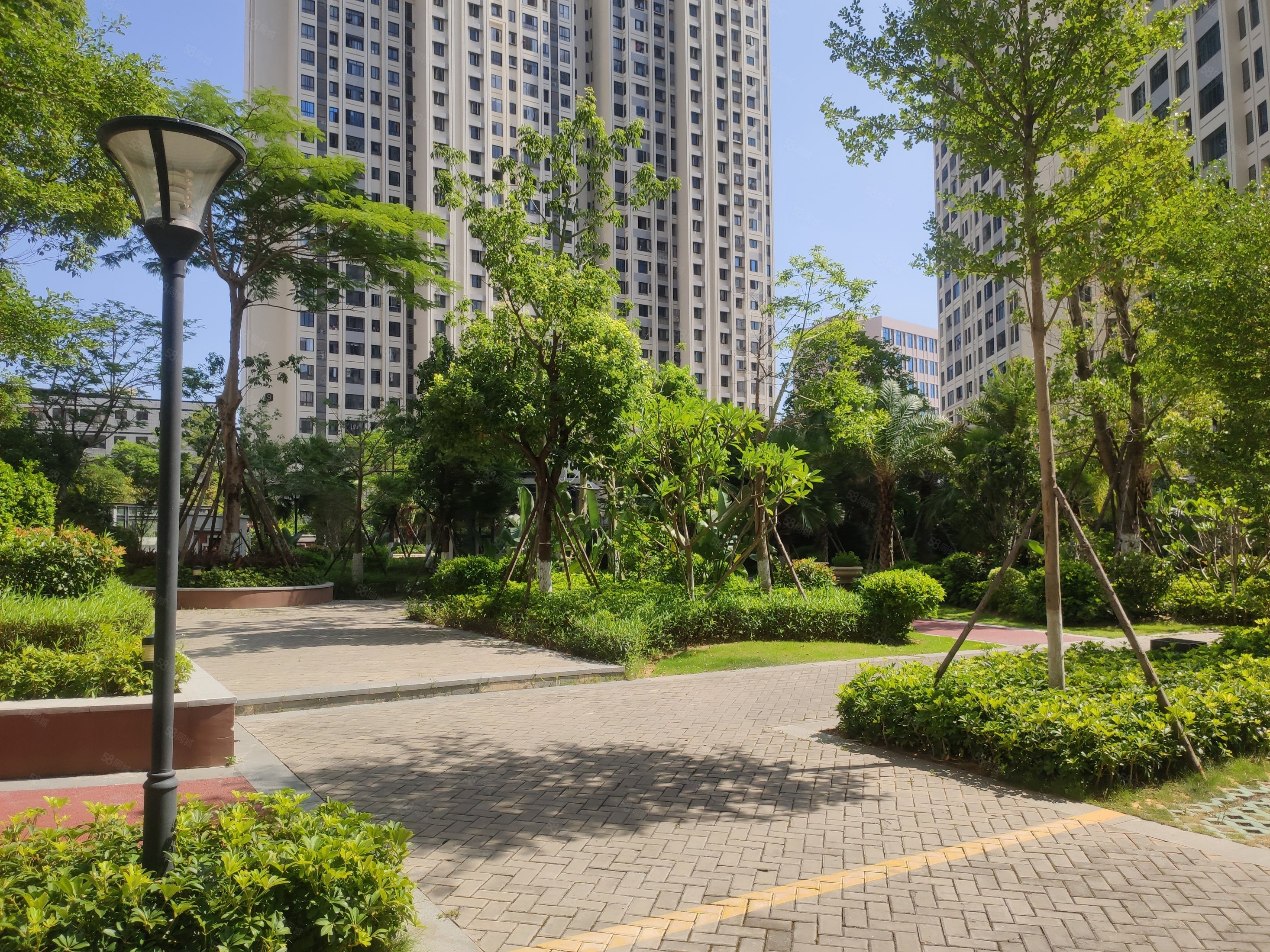 象峰小区电梯高层3房毛坯证2满