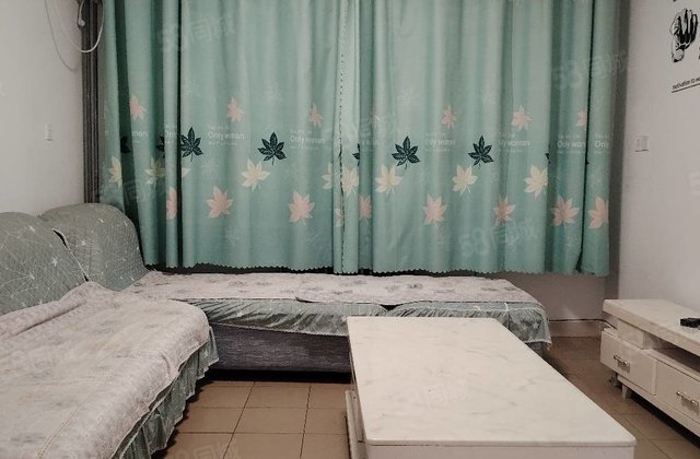文轩，外国语，一中附近3室朝阳。随时看房