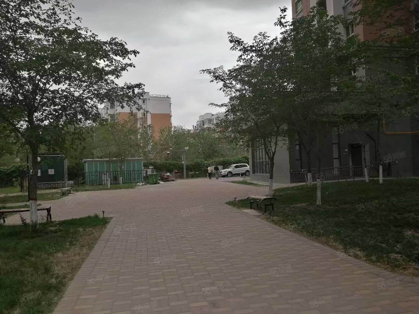 新市区政府商圈喀什路金鑫花园115.15平精装电梯3室