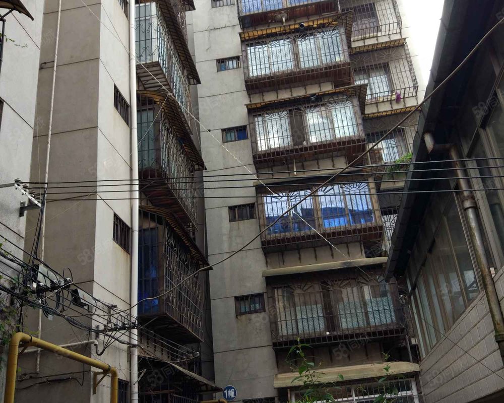 府甬道小区环城路以内