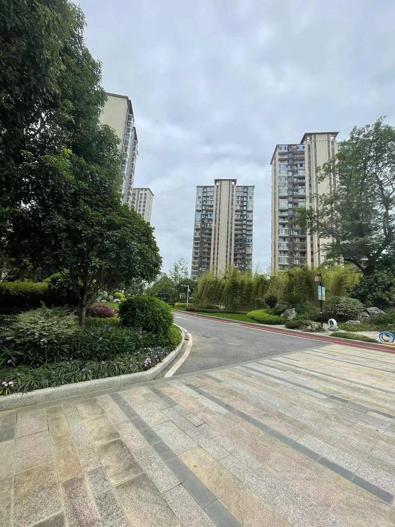 碧桂园滨江府一线江景单价8字头精装全送急卖