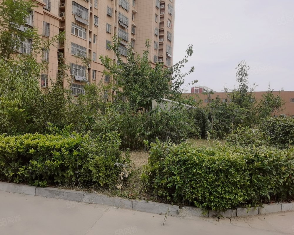 【荷香苑, 荷香苑小区详情,房价走势,房源,业主论坛】- 济宁58同城