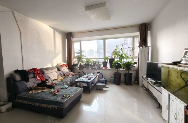 月亮湾D区153平带车位储藏室139万！边户，四室！颐馨园