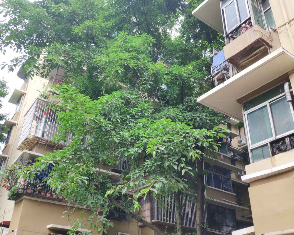 【灯头小苑, 灯头小苑小区详情,房价走势,房源,业主论坛】- 重庆58