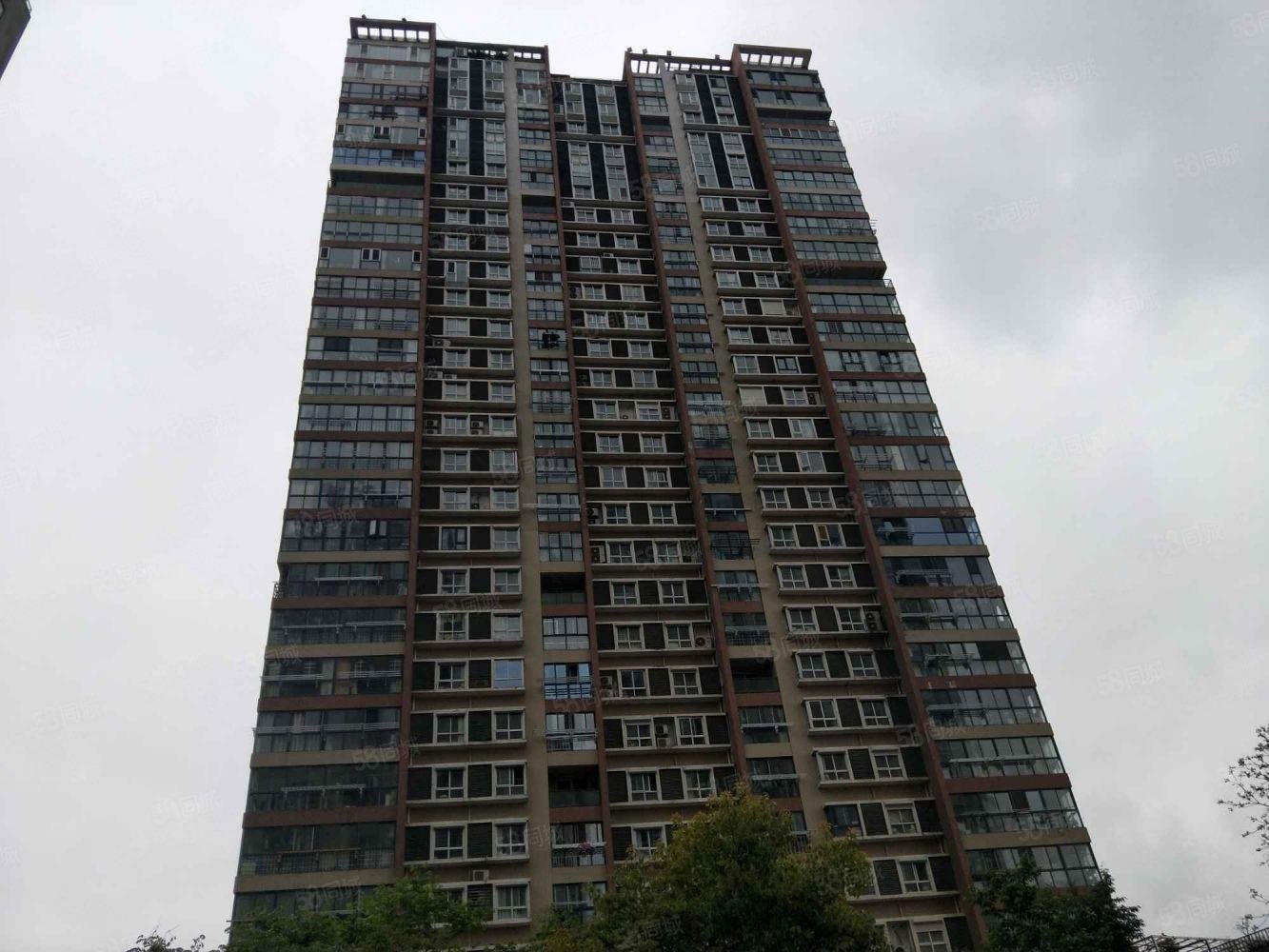 公园道1号装修好商圈成熟小区新小三房医疗配套成熟