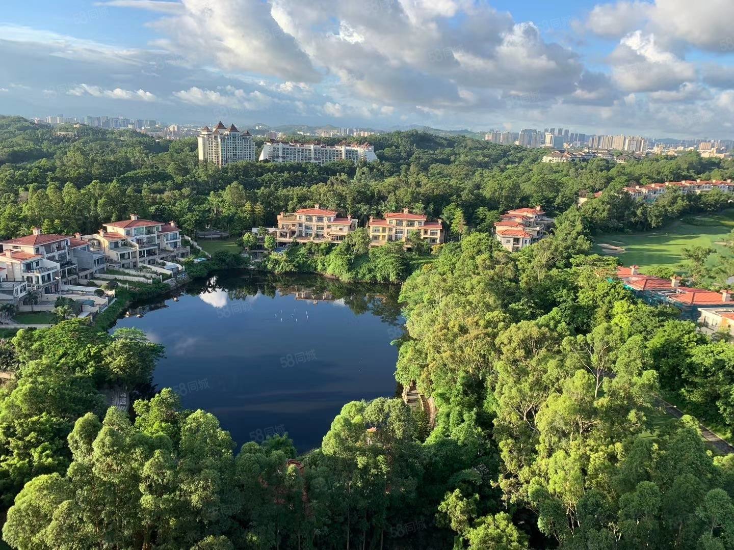 5大房一线高尔夫景,南向精装,观澜湖新城站地铁,观澜豪园观景赛维纳