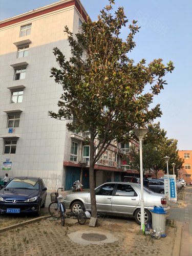 金都花园(邹城)