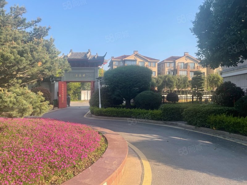 金义大独栋明德居上证600平超大花园满二