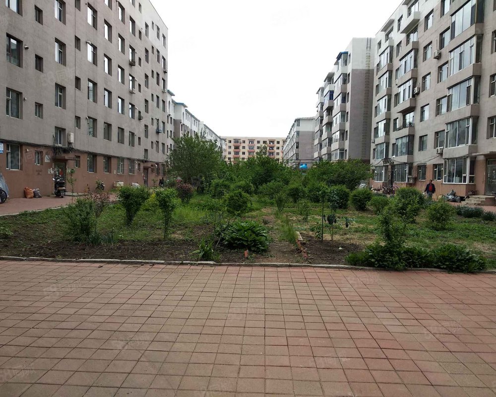花园小区