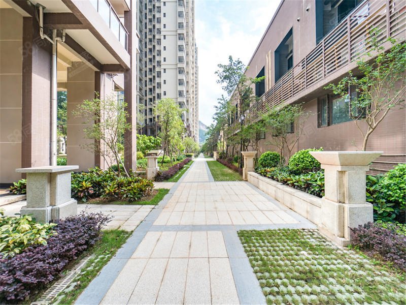 急卖急卖首付15万!南区大信单价9字头楼下就是九年义务教育