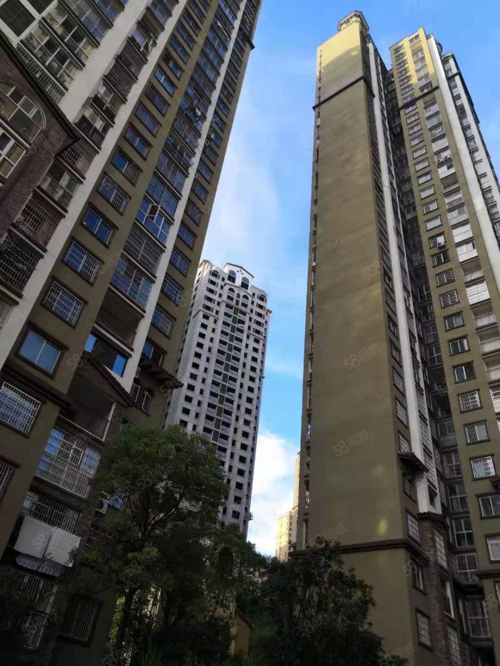 服装市场 豪装三房 电梯房复式楼 户型周正 采光好,金园大厦-株洲58