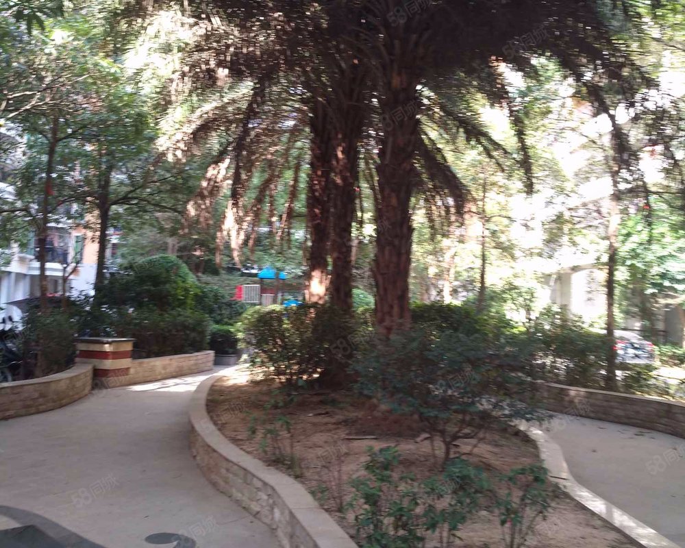 【园洲中心花园, 园洲中心花园小区详情,房价走势,房源,业主论坛】