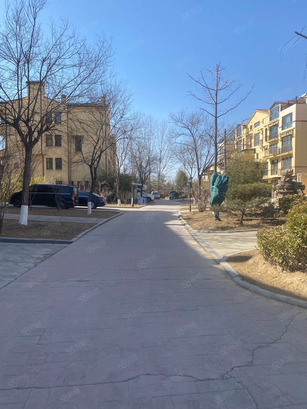 红山庄园 叠拼一二越 带超大院 带车库,红山庄园(公寓住宅)-保定58