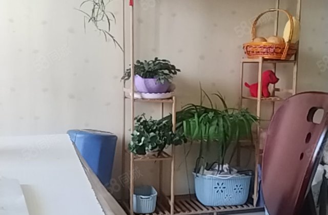 阿坝州人民医院宿舍2室1厅89㎡62万二手房图片