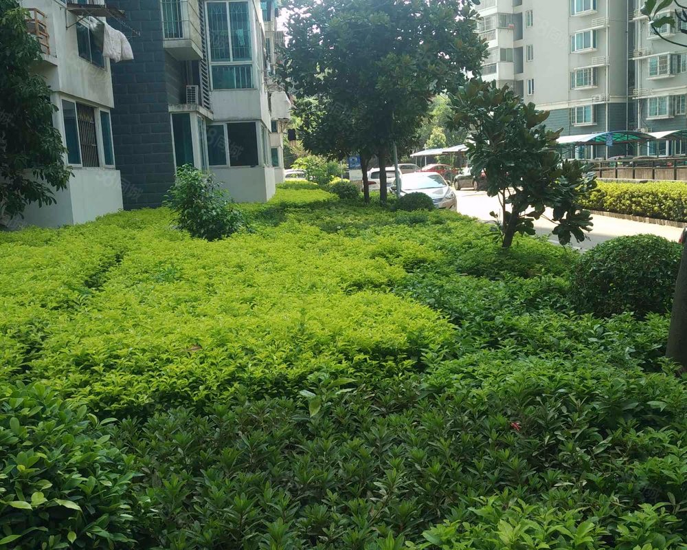 【西园雅居东区, 西园雅居东区小区详情,房价走势,房源,业主论坛】