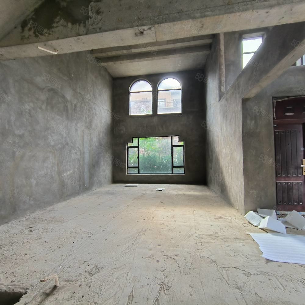 北部新洲莱茵别墅8室3厅7卫540㎡南北396万