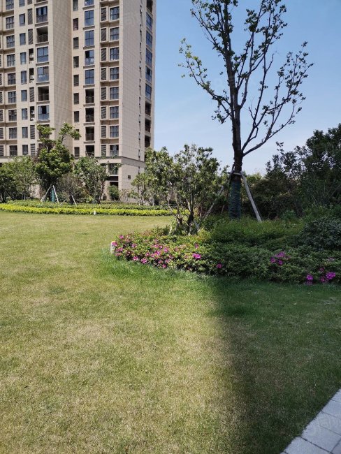 三房两卫精装,东部新城,,大家漾山府-湖州58同城