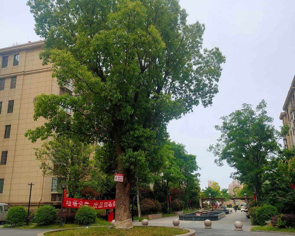 【龙泽园东区, 龙泽园东区小区详情,房价走势,房源,业主论坛】- 嘉兴