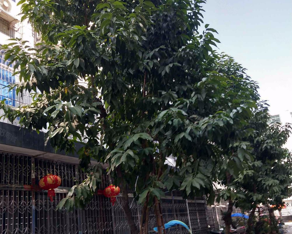 【西雅小区, 西雅小区小区详情,房价走势,房源,业主论坛】- 温州58