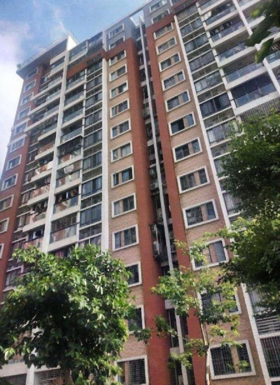 天华美地 4楼 正园心东南三面采光 正规3房带储藏室带双阳台