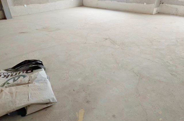 丽山国际(北美枫情)4室2厅233㎡420万二手房图片