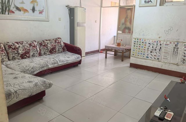 东昌湖对过 鼎舜花园 中层 市医院附近 铁塔商场 青年林