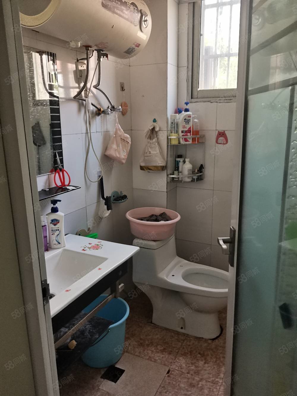 枣树园3室2厅1卫86㎡南北56万