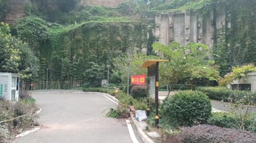 溪江悦
